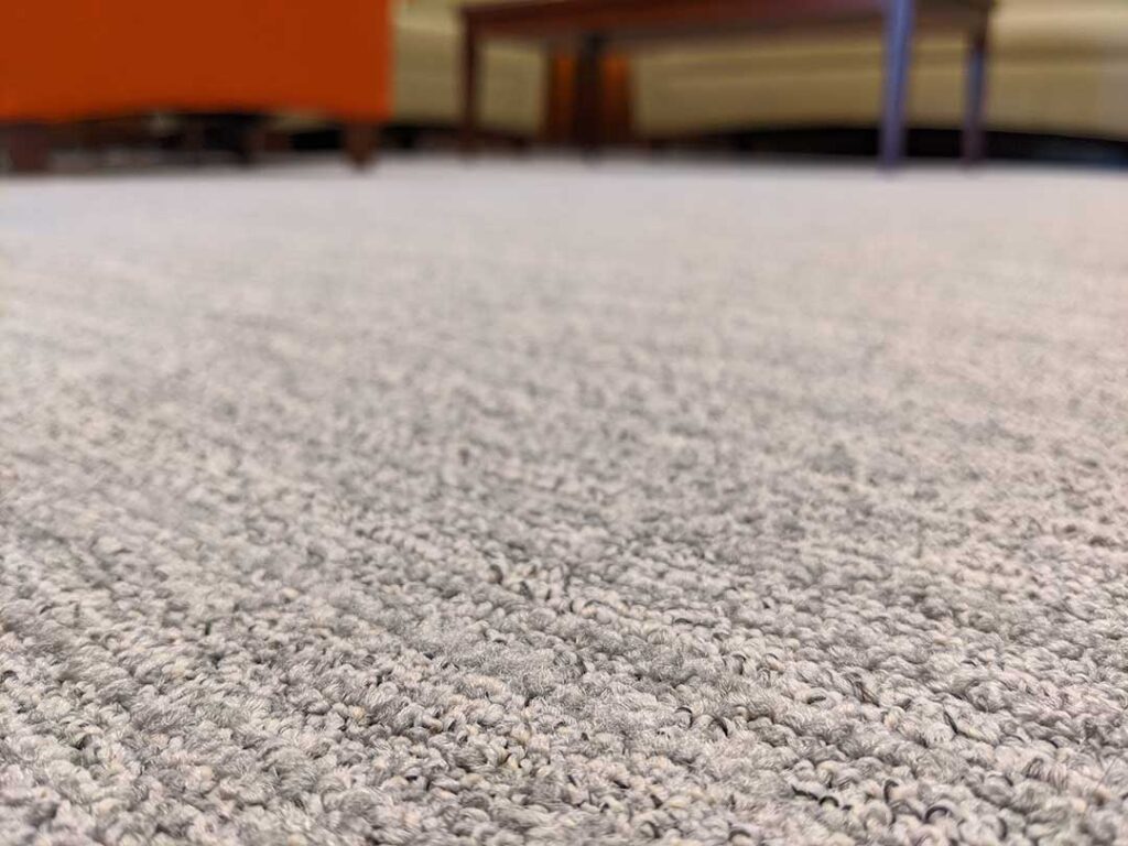 A person vacuuming a carpet in a bright living room with visible hardwood flooring nearby.